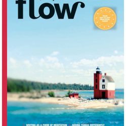 revista flow mindfullness